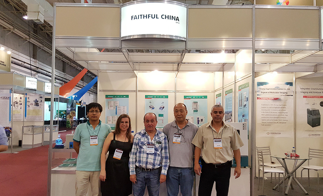 2015 В БРАЗИЛИИ