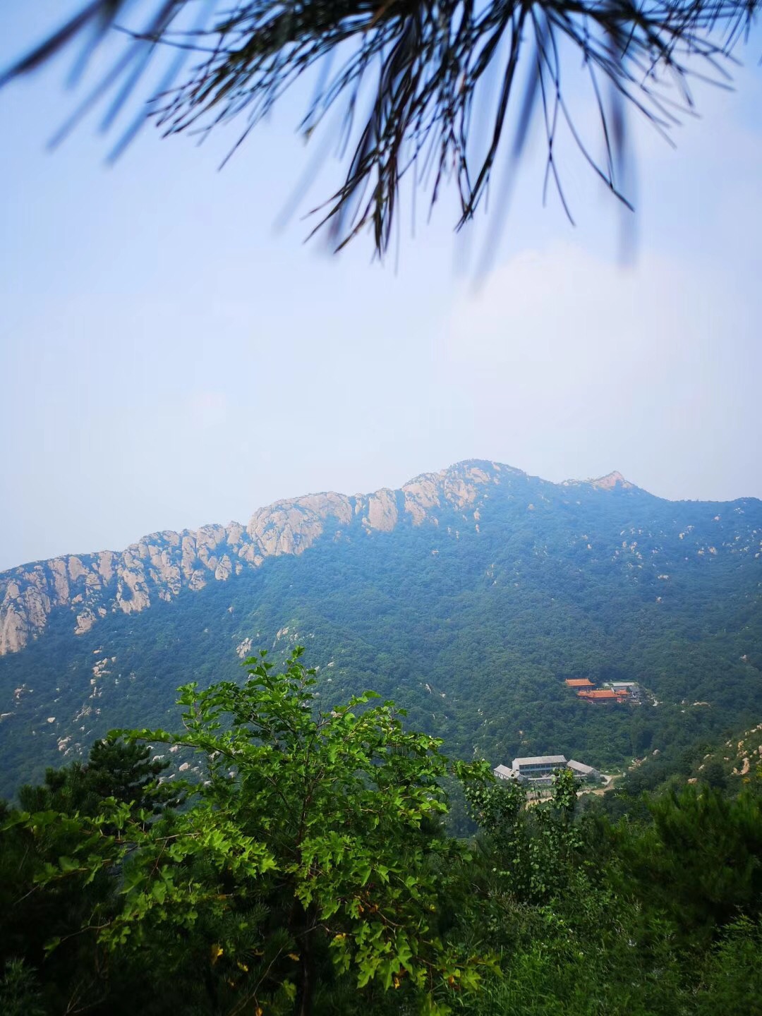 微 信 图片 _20180806133726