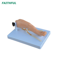 Xc-485 Advanced Match Venipuncture нога